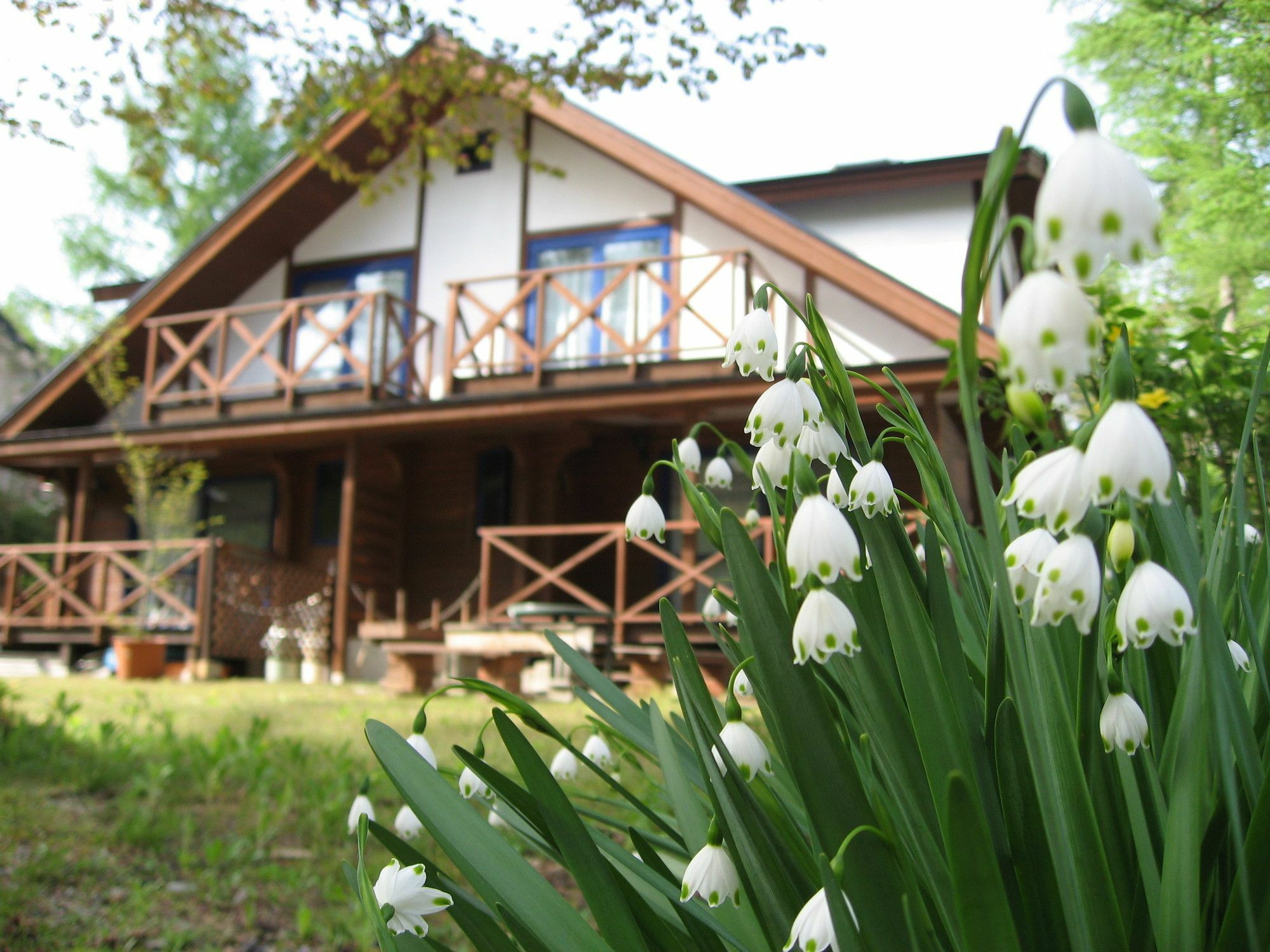 Hakuba Megeve Villa Eksteriør bilde